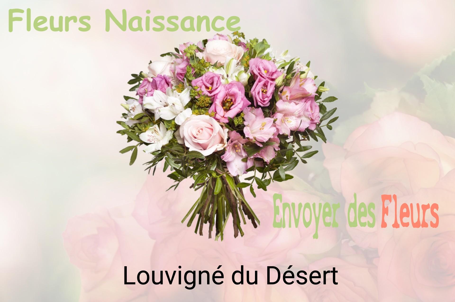 Bouquet de fleurs de naissance livré à Louvigné-du-Désert